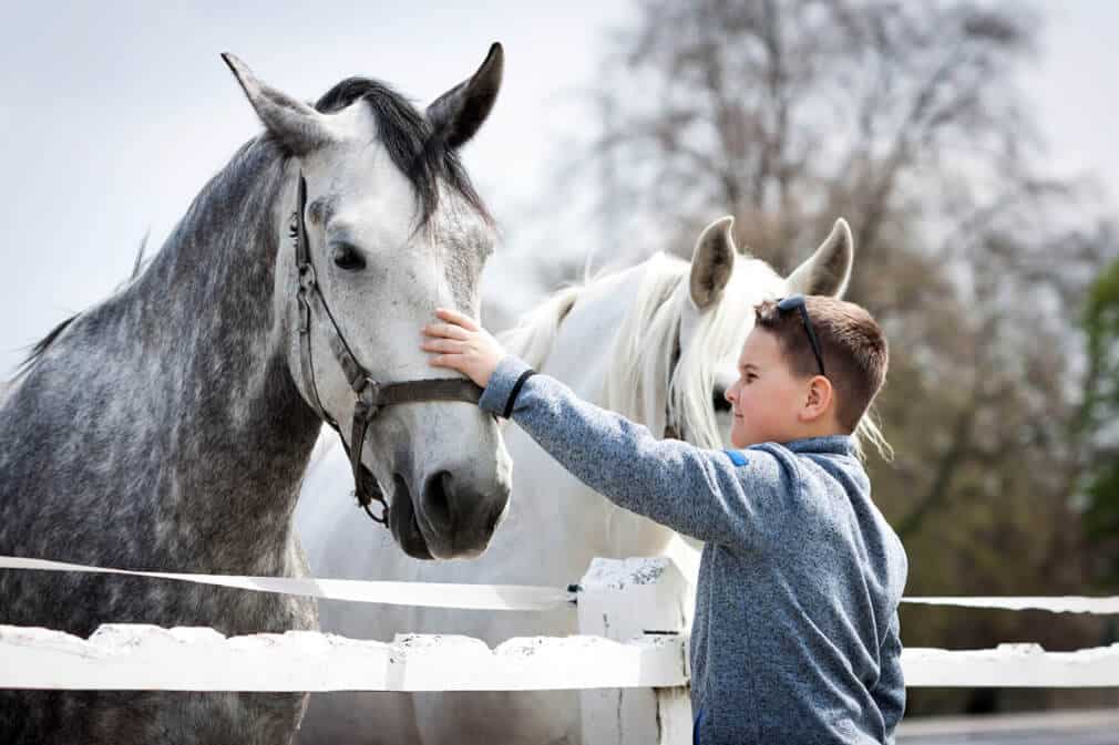 Junge streichelt Pferde | © panthermedia.net /Miroslav Beneda